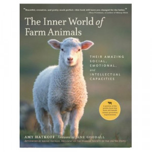 The Inner World Of Farm Animals Edgars Mission Sanctuary