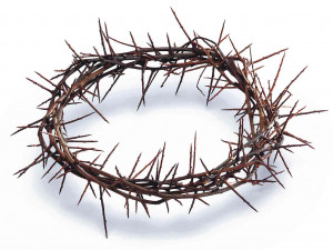 Related Pictures crown of thorns crown of thorns on red cloth ...