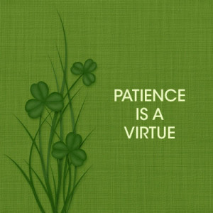 There is not a tree in heaven higher than the tree of patience ...