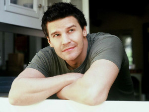 David Boreanaz