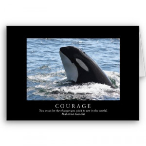 orca_whale_killer_whale_endangered_species_courage_card ...