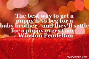 ... to beg for a baby brother - and they'll settle for a puppy every time