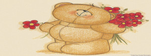 Teddy bear timeline cover