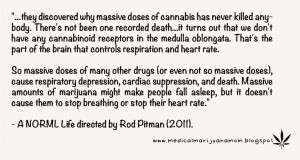 420 Quotes & Funnies