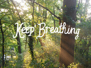keep breathing, nature, quote, sun, trees