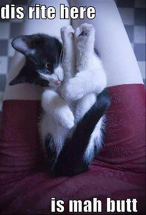 Return to Funny Pictures – 39 Pics