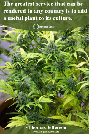 Marijuana Quote by Thomas Jefferson #3