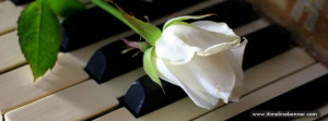 Piano and White Rose Facebook Timeline Banner