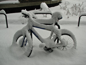 heres-nycs-plan-to-keep-bike-share-running-through-snowstorms.jpg