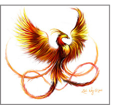 real phoenix bird