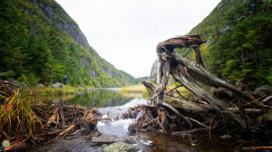... Mt. Colden to Mt. Marcy - T he High Peaks of the Adirondack Mountains
