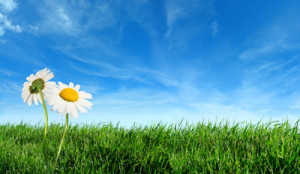 ... materialistic age a great many of us are possessed by our possessions