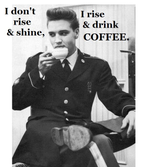 Cool Coffee Quote | I don't rise and shine I rise and drink coffee ...