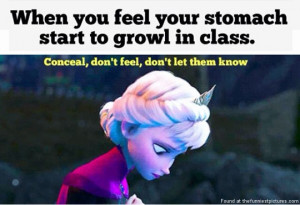 Frozen-memes-...-Top-17-most-Funny-Frozen-Quotes-Humor