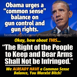 Obama Gun Control Gun rights & gun control