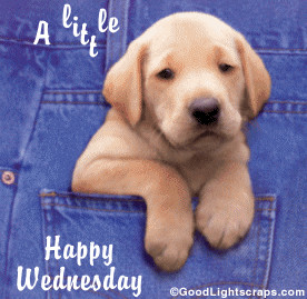 Scraps, Wednesday Glitter graphics, Wednesday Greetings and Quotes ...