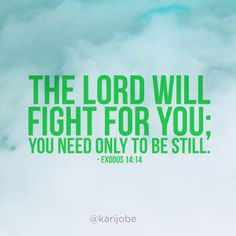 The LORD will fight for you; you need only to be still.