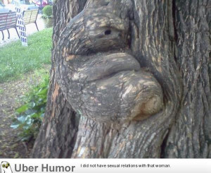 Sloth Jokes Tumblr I found a tree-sloth in my