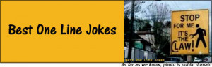 State Mottos Funny Ads Short Jokes Birthday Quotes Inspiring