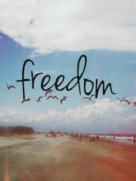 beach bird fly free freedom love photography quote text