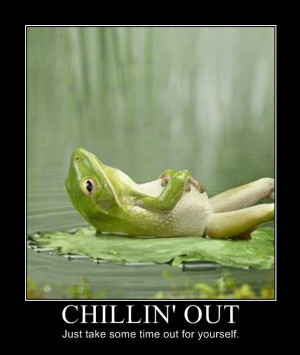 STRANGE FROGS & TOADS - CHILLIN' OUT