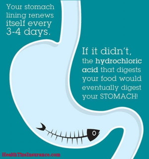 Incredible Human Body