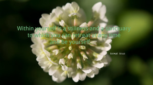 Within Yourself Is A Stillness HD wallpapers