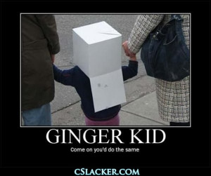 funny ginger quotes www 355nation net