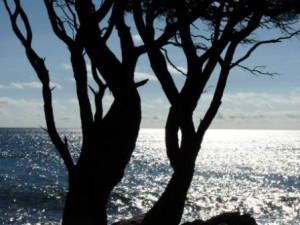 ... Stillness Speaks’, Hodder Mobius.I couldn’t help this quote