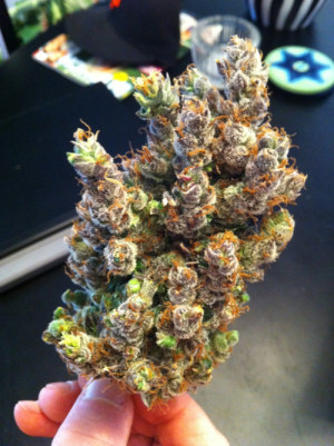 weed marijuana ganja cannabis pot dank 420 highlife get high Get ...