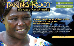 change and a Nobel Peace Prize? Three decades ago, Wangari Maathai ...