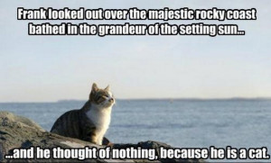 Posted by Bozo Funny at 12:53 PM