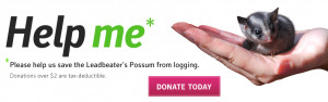 Help Me save Leadbeater’s Possum from logging donate today donations ...