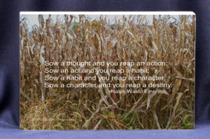 Sow A Thought and You Reap an Action Ralph Emerson Quote