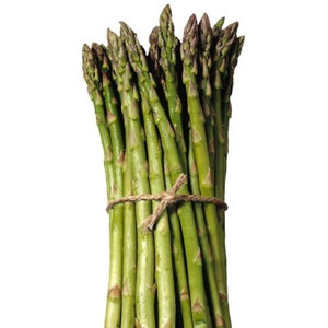 Asparagus (Asparagus officinalis)