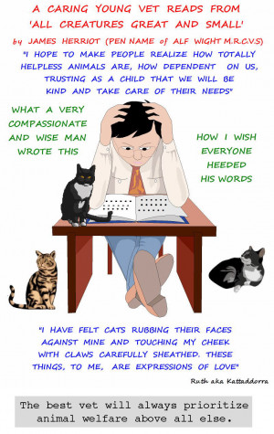 Worrying Cat Ownership and Veterinarian Statistics