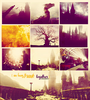 Harry Potter we've been through so much together