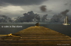 calm in the storm : Issue No. 8 