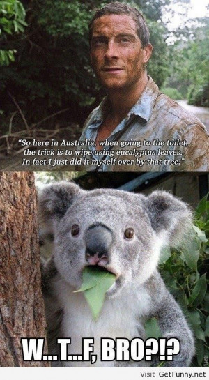 Bear Grylls in Australia - Funny Pictures, Funny Quotes, Funny Memes ...