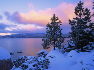 Winter Time in Tahoe!