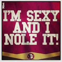 Tallahassee, FLORIDA STATE, FSU, Tailgating, Football sign - Custom ...