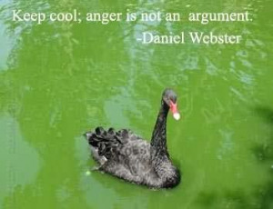 Keep Cool Anger Is Not an Argument - Daniel Webster Argument Quote ...