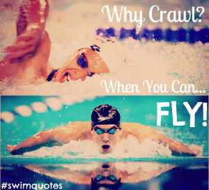 Why Crawl? When You Can FLY!!!