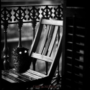 Funny Love Quotes Pics Kate...