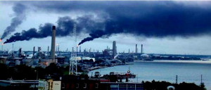 pollution makes humans sick, pollution kills humans, animals and ...