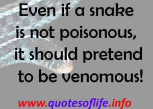 Even if a snake is not poisonous, it should pretend to be venomous!