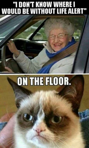 The Grumpiest Grumpy Cat Memes to Sadden Your Day