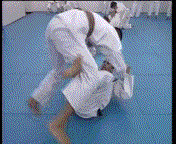 mixed-martial-arts