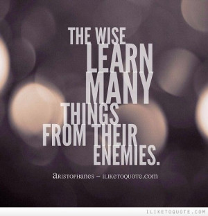 The wise learn many things from their enemies. - iLiketoquote.com