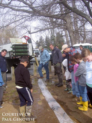 Trout Stocking of Fair Hill Pond